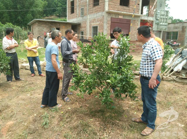 漳浦县2017年雨露计划农村实用技术培训在赤