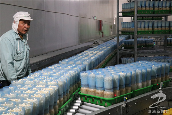 万辰生科领跑全市食用菌生产研发